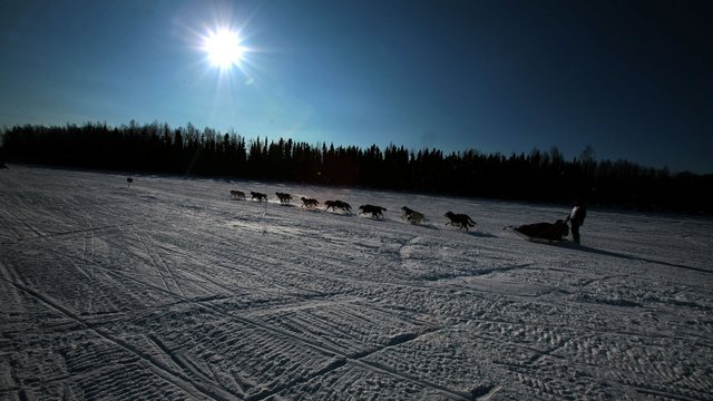 WP: Шутки про «ледяной Крым» больше не веселят американцев WP: Шутки про «ледяной Крым» больше не веселят американцев