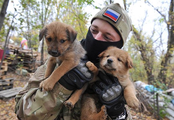 Репортаж из Горловки. Танцы на грани стрельбы