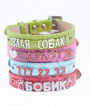 Ракеты или ошейники - выбор между Россией и Европой Ракеты или ошейники - выбор между Россией и Европой