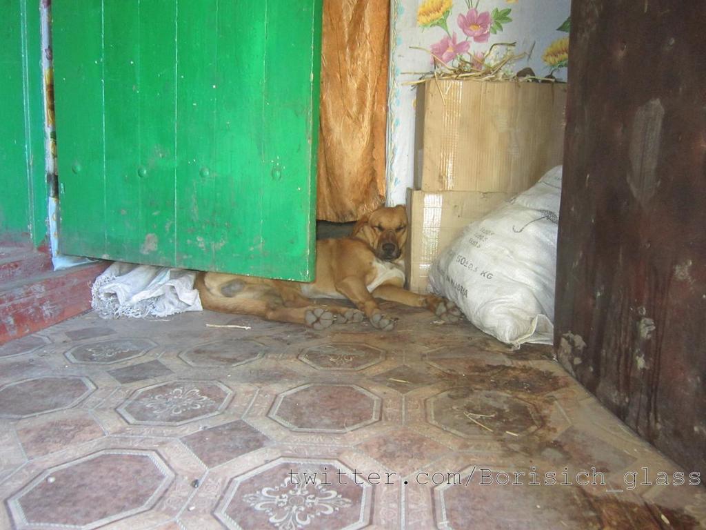 Сводки от ополчения Новороссии 24.10.2014 Сводки от ополчения Новороссии 24.10.2014