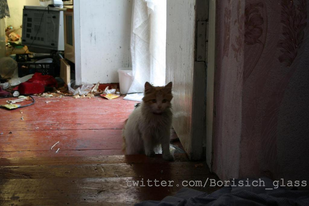 Сводки от ополчения Новороссии 24.10.2014 Сводки от ополчения Новороссии 24.10.2014