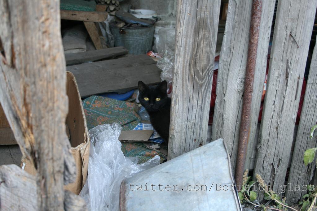 Сводки от ополчения Новороссии 24.10.2014 Сводки от ополчения Новороссии 24.10.2014