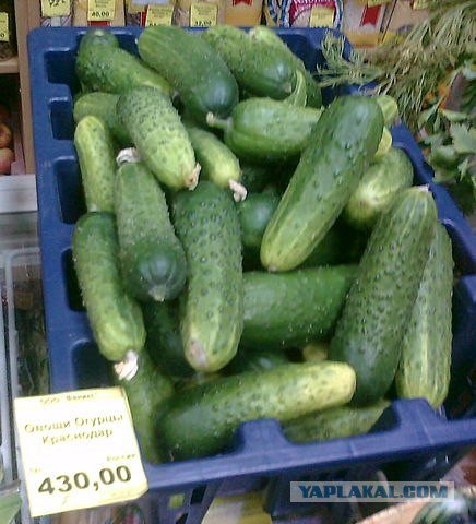 Цены в российский магазинах. Санкции не действуют (с) Цены в российский магазинах. Санкции не действуют (с)