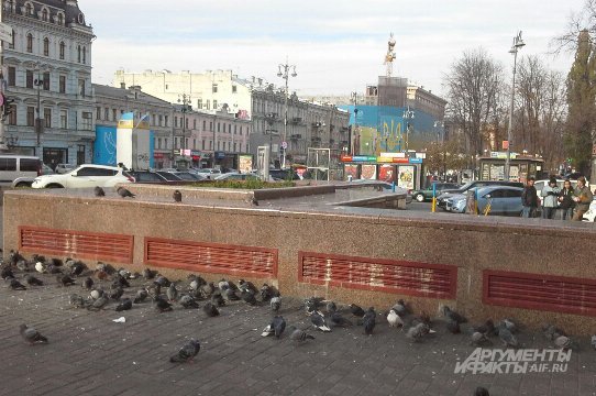 «Россия хочет сорвать наши выборы!» Репортаж из Киева «Россия хочет сорвать наши выборы!» Репортаж из Киева