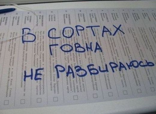Выборы на Украине. Бюллетень. Творческий подход (НЕ Баян) Выборы на Украине. Бюллетень. Творческий подход (НЕ Баян)