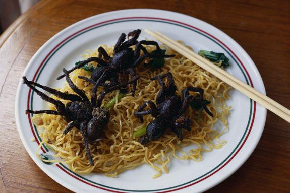 День виборiв День виборiв