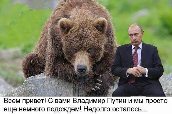 Просто Путин Просто Путин