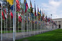 ООН: возобновление боев на Украине говорит о важности новых усилий по достижению диалога