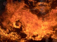 Донецкие рифмы