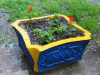 КукуКиев: письмо из украинской столицы