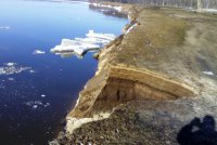 Нижегородская АЭС: инвестиций нет, но проектирование продолжается