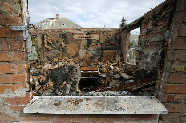 Сводки от ополчения Новороссии 02.11.2014 Сводки от ополчения Новороссии 02.11.2014