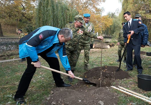 Сводки от ополчения Новороссии 02.11.2014 Сводки от ополчения Новороссии 02.11.2014