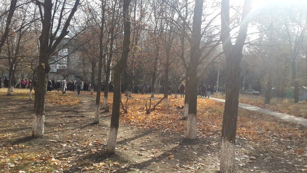 Сообщение депутата горсовета Луганска Наталии Максимец