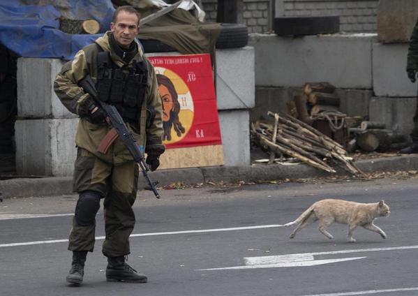 Фотомоменты войны 06-11-2014