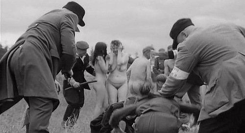 Почти как люди