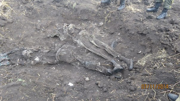 18+ Эксгумация под Бирюково (Фото, видео) 18+ Эксгумация под Бирюково (Фото, видео)