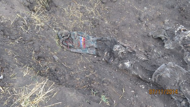 18+ Эксгумация под Бирюково (Фото, видео) 18+ Эксгумация под Бирюково (Фото, видео)