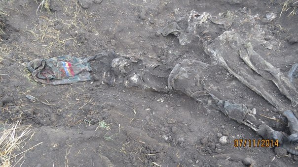 18+ Эксгумация под Бирюково (Фото, видео) 18+ Эксгумация под Бирюково (Фото, видео)