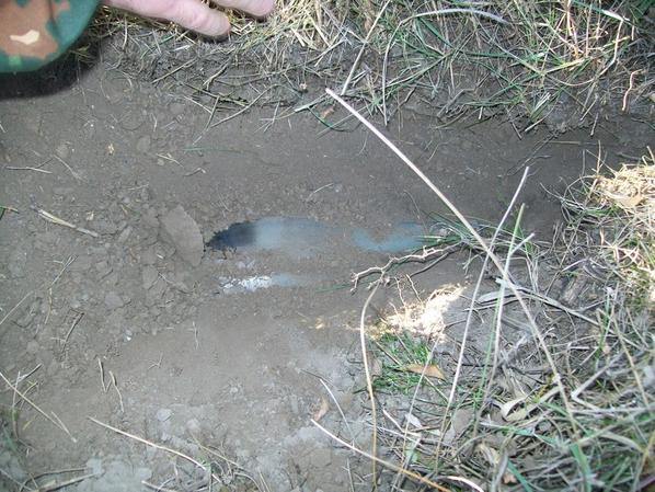 Сводки от ополчения Новороссии 10.11.2014 Сводки от ополчения Новороссии 10.11.2014