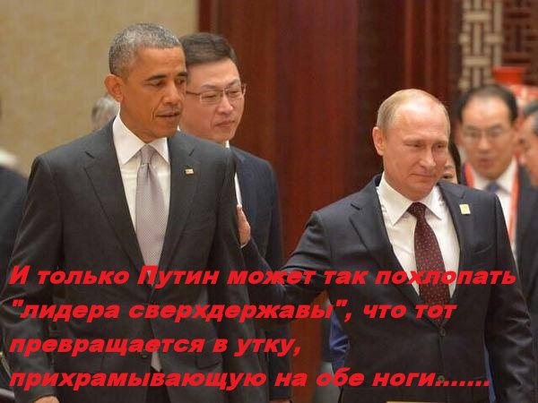 На саммите АТЭС журналисты с интересом наблюдают за поведением мировых лидеров На саммите АТЭС журналисты с интересом наблюдают за поведением мировых лидеров