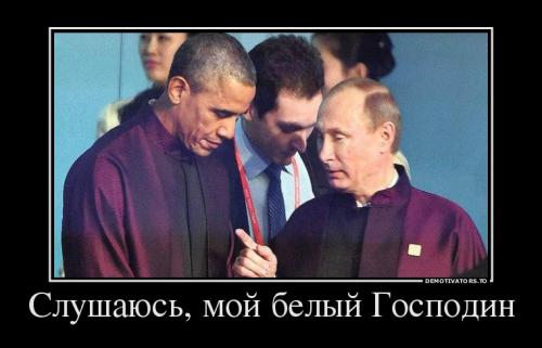 Иногда по фото можно сделать выводов больше Иногда по фото можно сделать выводов больше