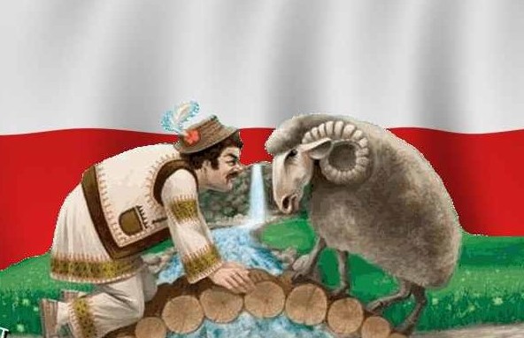 Образцовое быдло