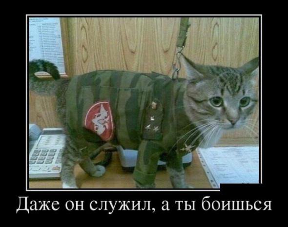 С пятницей друзья! И всем мирного неба! С пятницей друзья! И всем мирного неба!