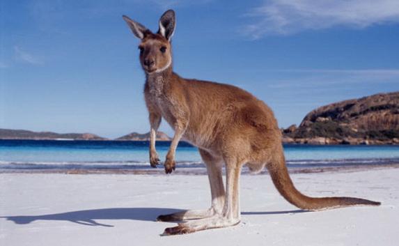 «Колонистское» заявление премьера Австралии вызвало скандал «Колонистское» заявление премьера Австралии вызвало скандал