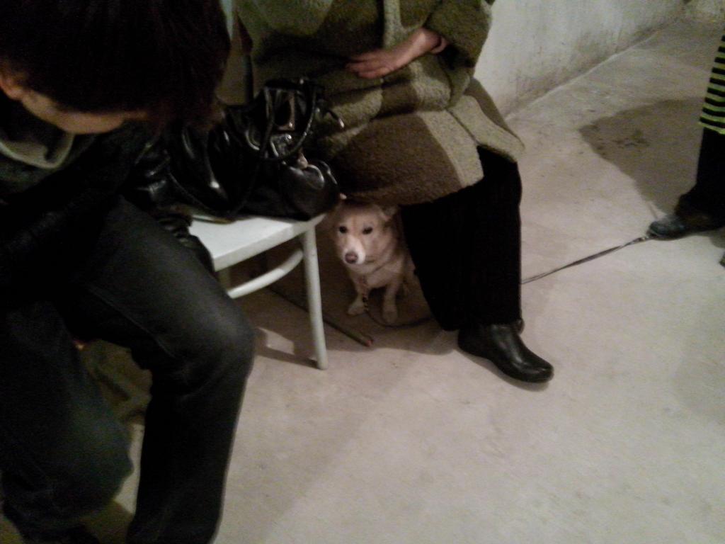 Сводки от ополчения Новороссии 14.11.2014 Сводки от ополчения Новороссии 14.11.2014