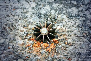 Сводки от ополчения Новороссии 15.11.2014 Сводки от ополчения Новороссии 15.11.2014