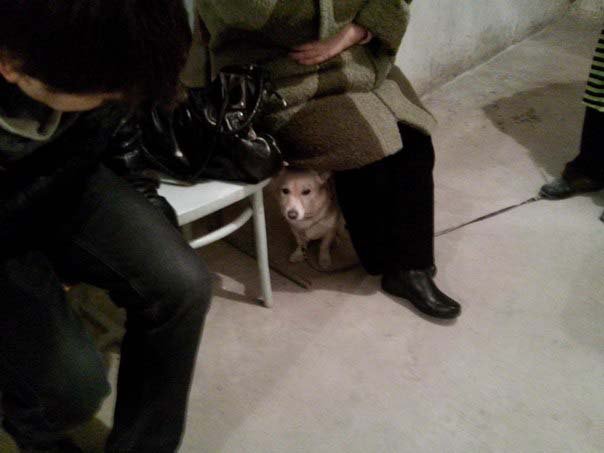 Мгновения войны 15.11 Мгновения войны 15.11