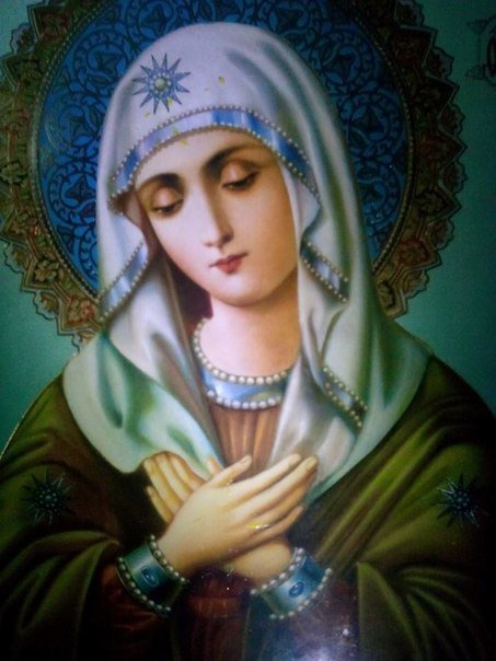 Сводки от ополчения Новороссии 17.11.2014 (Часть 2)