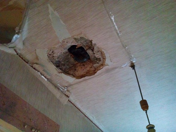 Сводки от ополчения Новороссии 17.11.2014 (Часть 2)