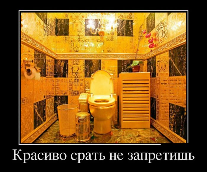 День достоинства в стране Золотого Унитаза