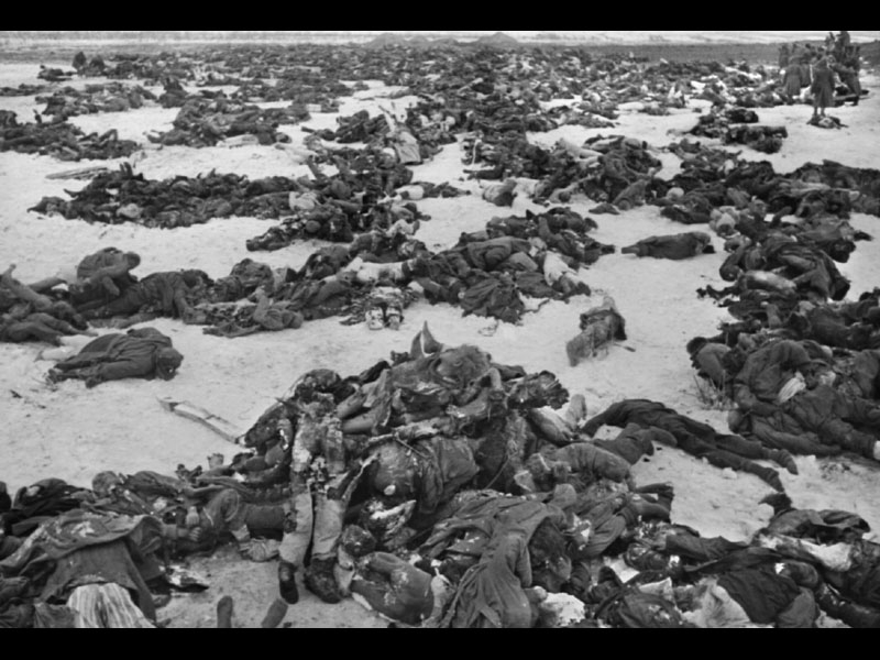 19 ноября 1942 г. началось контрнаступление советских войск под Сталинградом 19 ноября 1942 г. началось контрнаступление советских войск под Сталинградом