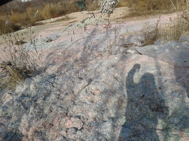 Сводки от ополчения Новороссии 19.11.2014 Сводки от ополчения Новороссии 19.11.2014