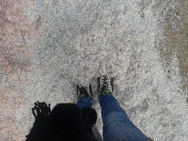 Сводки от ополчения Новороссии 19.11.2014 Сводки от ополчения Новороссии 19.11.2014