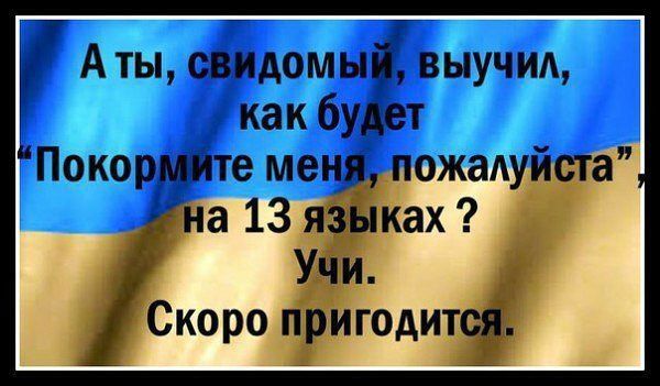 "Мыздобулы" в картинках. Смешных и не очень...