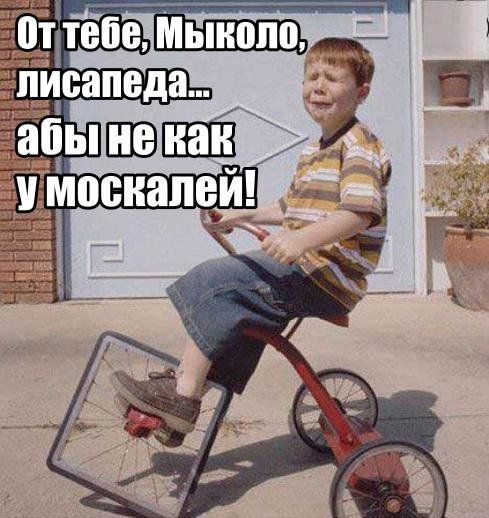 "Мыздобулы" в картинках. Смешных и не очень...