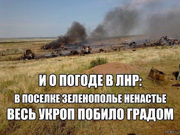 "Мыздобулы" в картинках. Смешных и не очень...