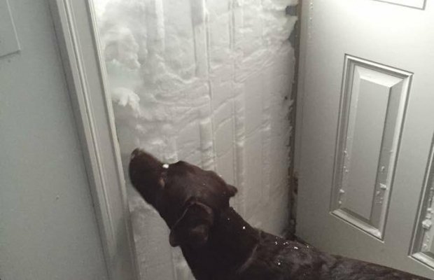 Россия объявила санкции США