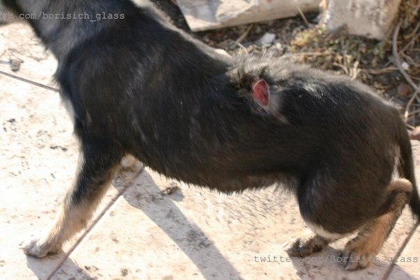 Сводки от ополчения Новороссии 22.11.2014 Часть 1 Сводки от ополчения Новороссии 22.11.2014 Часть 1