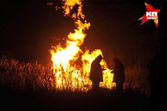 Сводки от ополчения Новороссии 23.11.2014 Сводки от ополчения Новороссии 23.11.2014