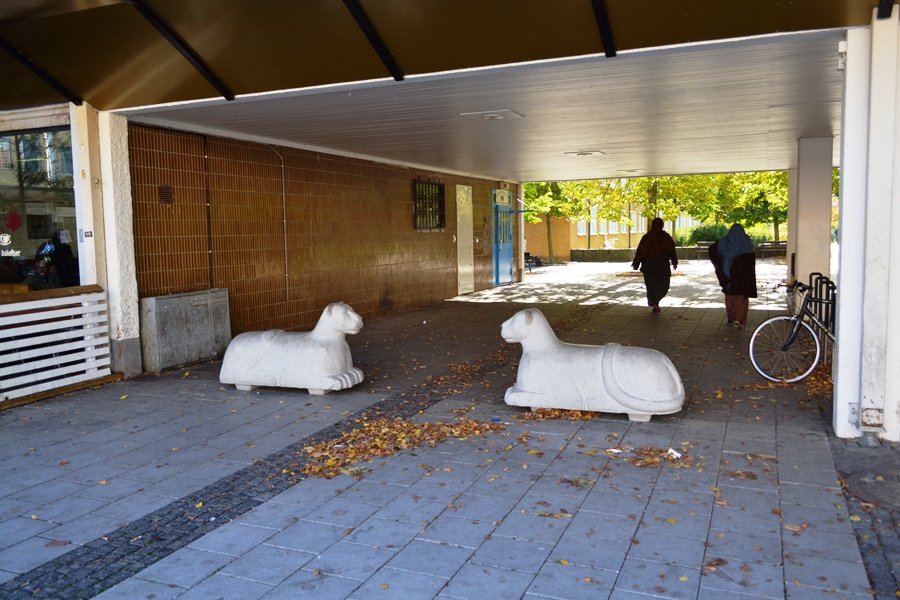 Ринкебю - легендарное иммигрантское гетто Стокгольма