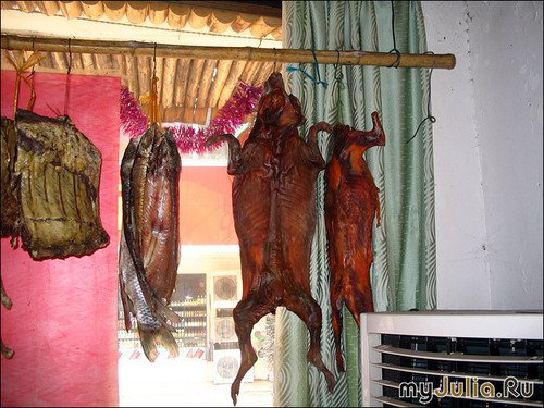 Три процента швейцарцев едят кошек