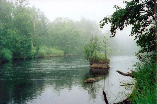 На берегу реки На берегу реки