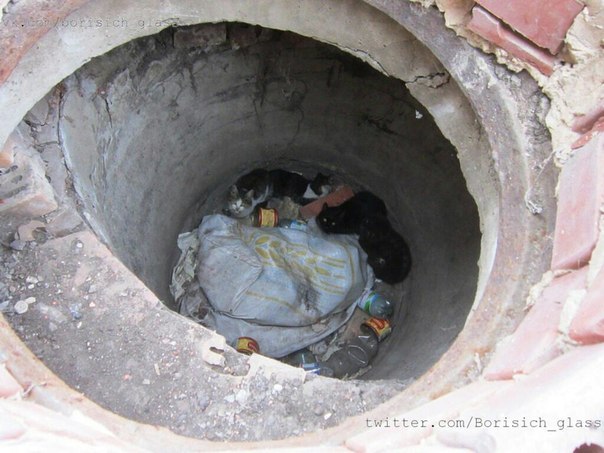 Сводки от ополчения Новороссии 28.11.2014 Часть 1 Сводки от ополчения Новороссии 28.11.2014 Часть 1