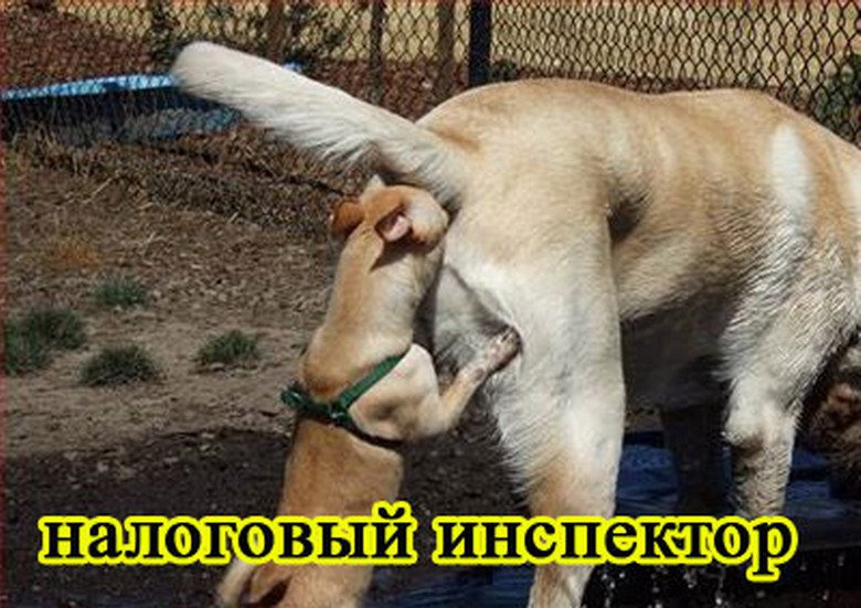 Сегодня пятницо!