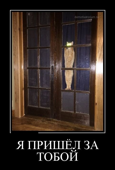 Сегодня пятницо!